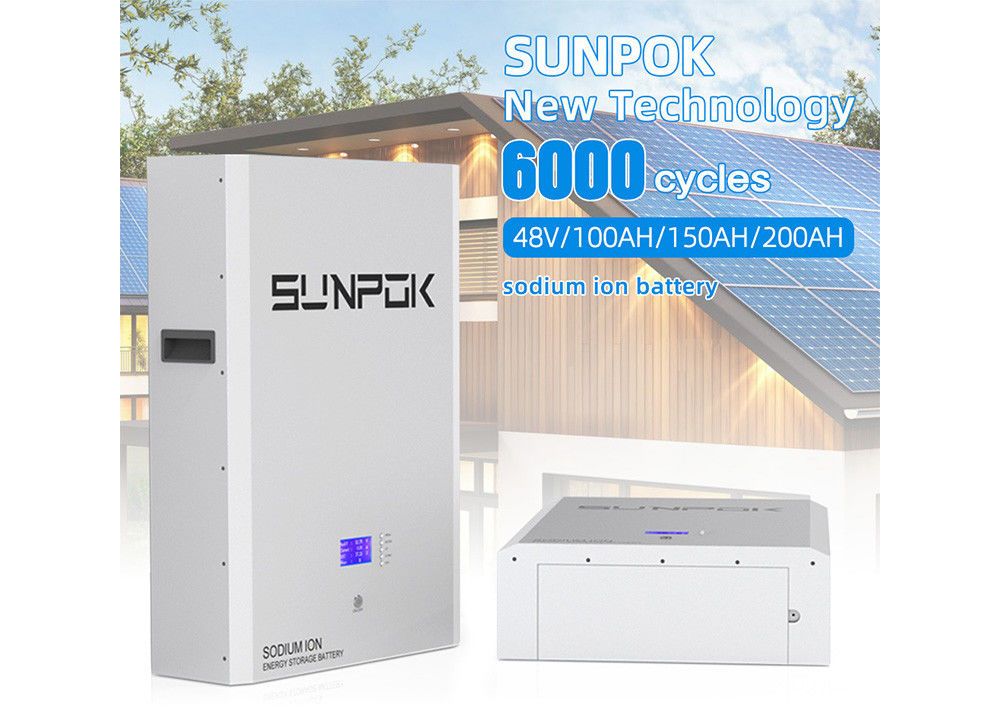 Taux de décharge automatique de 2% par mois Batterie à ions sodium SP-48100-BG-NA Durable